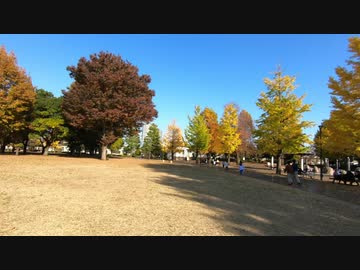 武蔵国分寺公園