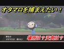 ポケモン剣盾　オタマロを捕まえる方法！オススメの場所は？天気は？ポケモン図鑑コンプへの道！　【ポケモンソード・シールド】