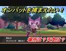 ポケモン剣盾　オンバットを捕まえる方法！オススメの場所は？天気は？ポケモン図鑑コンプへの道！　【ポケモンソード・シールド】