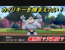 ポケモン剣盾　カイリキーを捕まえる方法！オススメの場所は？天気は？ポケモン図鑑コンプへの道！　【ポケモンソード・シールド】