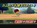 ポケモン剣盾　カムカメを捕まえる方法！オススメの場所は？天気は？ポケモン図鑑コンプへの道！　【ポケモンソード・シールド】