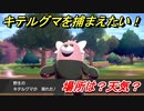 ポケモン剣盾　キテルグマを捕まえる方法！オススメの場所は？天気は？ポケモン図鑑コンプへの道！　【ポケモンソード・シールド】