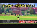 ポケモン剣盾　キャタピーを捕まえる方法！オススメの場所は？天気は？ポケモン図鑑コンプへの道！　【ポケモンソード・シールド】