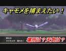 ポケモン剣盾　キャモメを捕まえる方法！オススメの場所は？天気は？ポケモン図鑑コンプへの道！　【ポケモンソード・シールド】