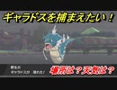ポケモン剣盾　ギャラドスを捕まえる方法！オススメの場所は？天気は？ポケモン図鑑コンプへの道！　【ポケモンソード・シールド】