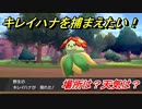 ポケモン剣盾　キレイハナを捕まえる方法！オススメの場所は？天気は？ポケモン図鑑コンプへの道！　【ポケモンソード・シールド】