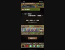 【パズドラ】パネラ降臨壊滅級 ソロ周回編成