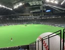 北関東在住のファイターズファンが思い立って札幌ドームに遠征してきた【思い立って5-4】