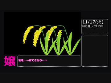 風俗嬢が一か月毎日給料公開.mp17