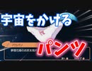 スパイのパンツ#14