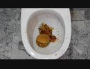 ケンタッキーフライドチキンの食べ物をトイレに流してみた
