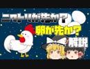 【ゆっくり解説】鶏が先か？卵が先か？