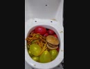 水風船とマクドナルドの食べ物をトイレに流してみた