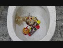 クリスマスプレゼントをトイレに流してみた