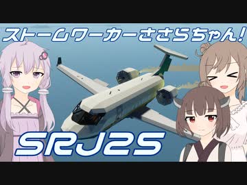【Stormworks】完成した旅客機で編隊飛行するよ！