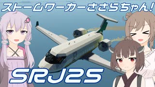 【Stormworks】完成した旅客機で編隊飛行するよ！