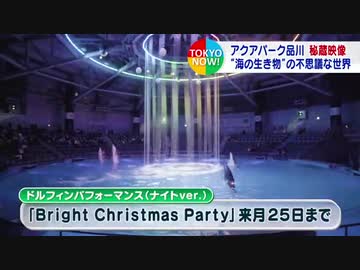 “海の生き物”の世界　水族館飼育員撮影の秘蔵映像