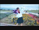 【誕生日】Rooter's Song 踊ってみた【＠ひふみ】