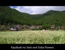 【車載動画】京都美山かやぶきの里への道 / Road to kyoto Miyama Kayabuki no Sato