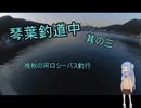 琴葉釣道中其の参  晩秋の河口シーバス釣行【VOICEROIDフィッシング】