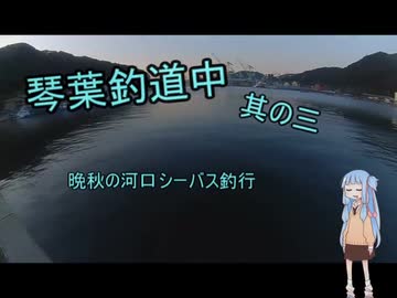 琴葉釣道中其の参  晩秋の河口シーバス釣行【VOICEROIDフィッシング】
