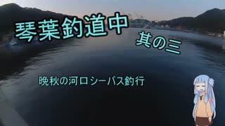 琴葉釣道中其の参  晩秋の河口シーバス釣行【VOICEROIDフィッシング】