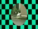 お後がよろしくって…4！
