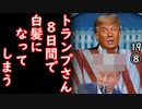 色はいいよ、フサフサなんだから...　【江戸川 media lab HUB】お笑い･面白い･楽しい･真面目な海外時事知的エンタメ（⑦は姉妹チャンネルで）