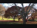 [旅行]秋の松本市アルプス公園を散策する（約13分）