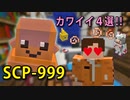 SCP収容違反を生き延びろ！マイクラゲリラ生活！！【マインクラフト】#7