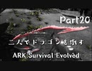 二人でドラゴンを倒すARK part ２０ 【ARK:Survival Evolved】