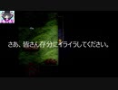 【Part8】超有名どころ「魔女の家」を初見実況プレイ_無様