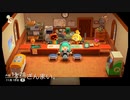 あつ森でテストしつつ島を周ってみた_07