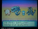 ※ほぼ無音【ポケモンPtコンテストプレイ動画】愛情個体27体マスターリボンコンプ！part 05 アーマルド
