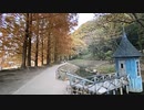 2020年11月18日1枠目　ハイキングしながらムーミンな公園へいけるらしい