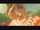 【実況】ハイラルソード　その60