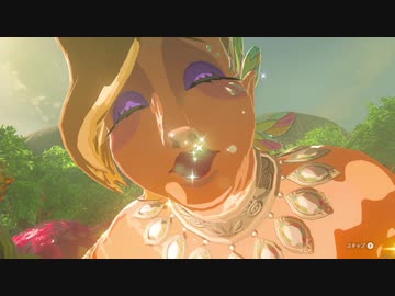 【実況】ハイラルソード　その60