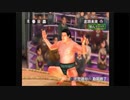 【後は】日本大相撲 PS【流れで】すもつく2017　十五日目
