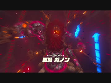 【実況】ハイラルソード　その61