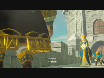 【実況】ハイラルソード　その62