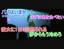 【厳選質問】タートルトーク名場面集06【タートルトーク】東京ディズニーシー