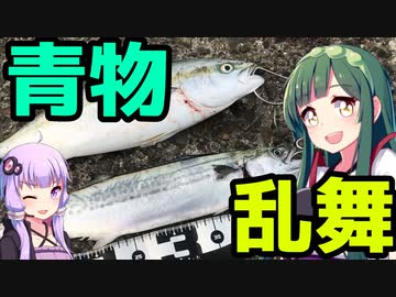 【1080p対応】東北ずん子のもっとドタバタ釣行記 彼方までかっ飛ばせ、秋のショアジギ祭り！