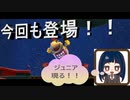 【スーパーマリオ3Dコレクション】第二十八幕　クッパJr.現る！！銀河でも私を手こずらせるの！？2