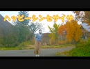 【ハルプロ】ハッピーシンセサイザ【踊ってみた】