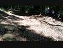 神奈川県　高麗山　女坂