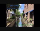 ［フリーBGM］静かな森の中/vlog系などに