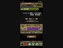 【パズドラ】ウェルドール降臨絶地獄級 ソロ周回編成
