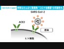 新型コロナ治療に光　ウイルス侵入防ぐ物質を開発
