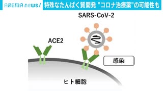 新型コロナ治療に光　ウイルス侵入防ぐ物質を開発