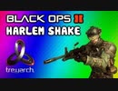 Harlem Shake - Black Ops 2 Edition Parody (Best Version w  Treyarch & David Vonderhaar Ending)